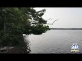 Northern Michigan From Above: Green Lake