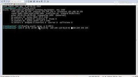 shell编程基础变量使用