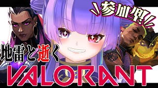 血祀イオリ-timaturi iori-の配信のサムネイル画像