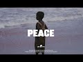 Burna Boy Ft Omah Lay Type Beat PEACE Afrobeat Instrumental 2024 X Emotional Afrobeat Type Beat