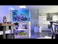 1000 liter tank  bigger reef aquarium from 300 to 1000 liter designer tank