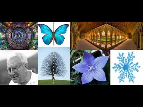 Santopinto E. - "Symmetries in nature, art and science - live Colloquium