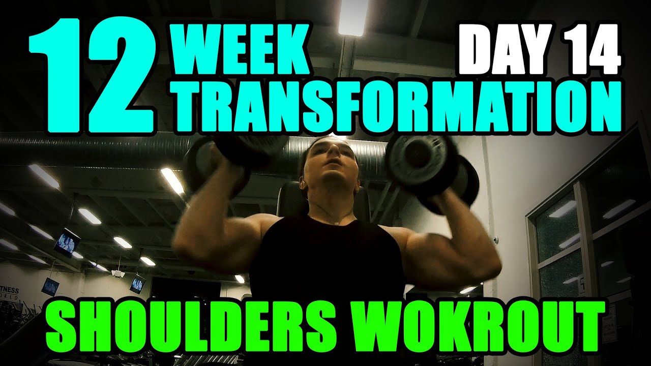 arnold schwarzenegger blueprint to cut pdf arnold schwarzenegger blueprint to cut pdf