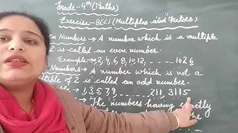 Grade 4 (Maths) Ex. 8c (Part-1)