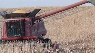 Holland Harvesting Corn 2011