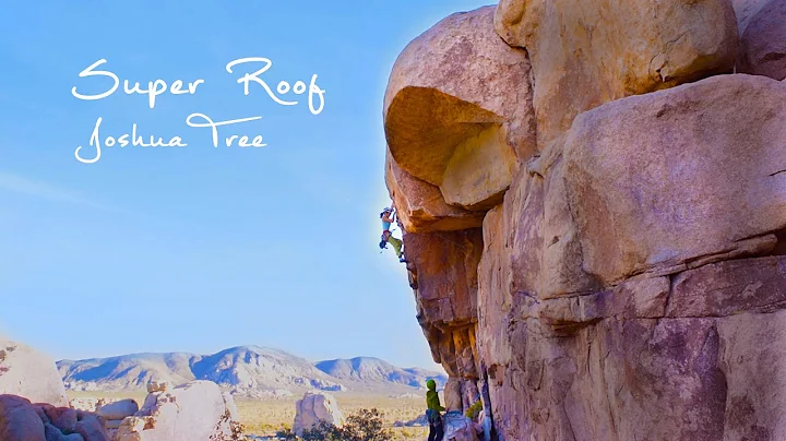 Super Roof, Joshua Tree - 5.9 - Michelle Voss