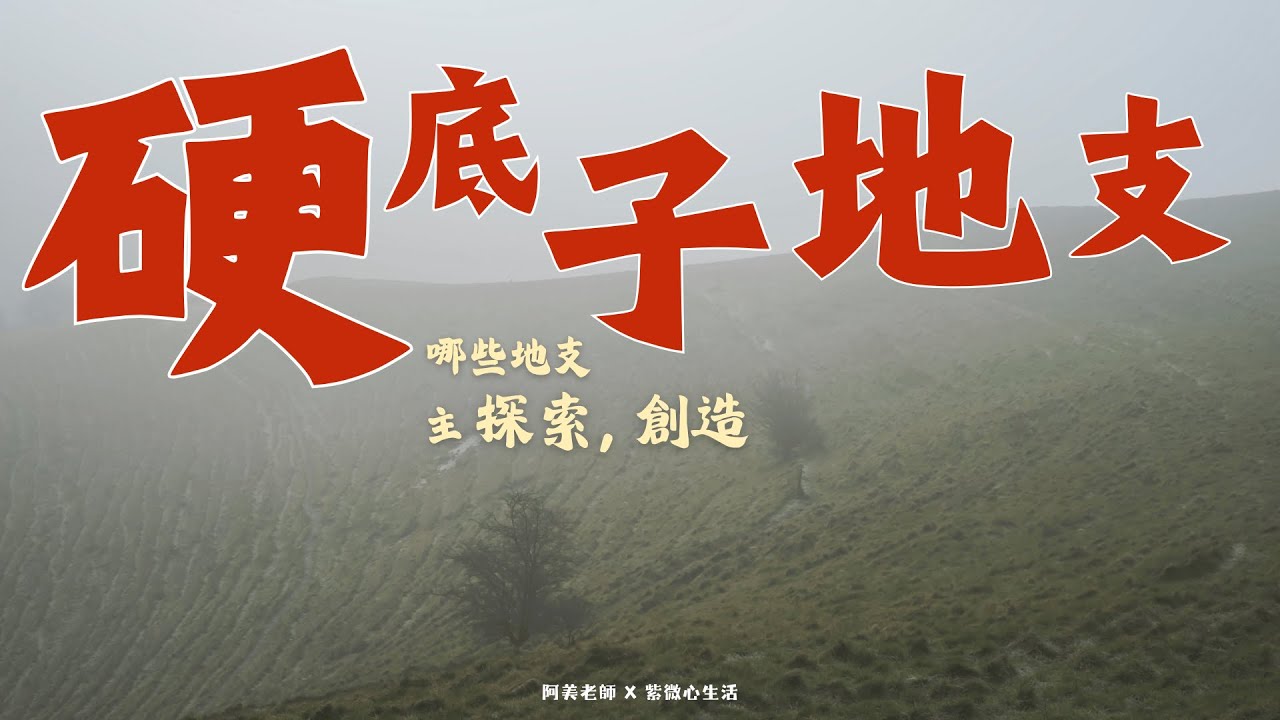 寅申巳亥：勞碌命還是開路先鋒？四馬地的強大創造力｜硬底子地支