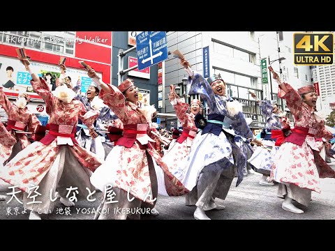 [4K]🇯🇵 【天空しなと屋しん「KIRIN」】第23回東京よさこい/Ikebukuro Tokyo Yosakoi【アゼリア通り】