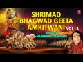    shrimad bhagwad geeta amritwanivol1bhagwad gitabhagwatnarendra chanchal