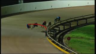 GEL FRI 22 MAR 19 R11