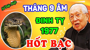 Tử Vi Tháng 9 Âm Lịch, Đinh Tỵ 1977 Quý Nhân Hậu Thuẫn, May Mắn Ngập Tràn, Giàu Nhanh Chóng Mặt