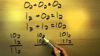 Celebrity Binary Numbers 2 Profile