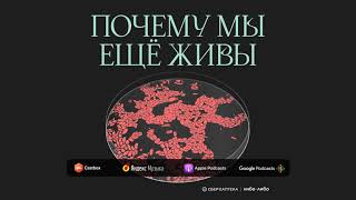 Финал сезона: история доказательной медицины | Подкаст Почему мы ещё живы