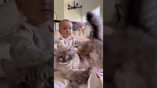 ӘЛЬХАМДУЛЛИЛЯҺ ! #ислам  #истина #кошки #умма #рек #шахада