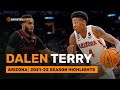 Dalen Terry | Arizona | 2021-22 Season Highlights