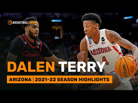 Dalen Terry | Arizona | 2021-22 Season Highlights