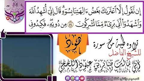 تلاوه طيبة من سورة هود للشيخ الفاضل أبي مالك صابر بن عبود اللحجي