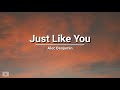 Alec Benjamin - Just Like You (lyrics)