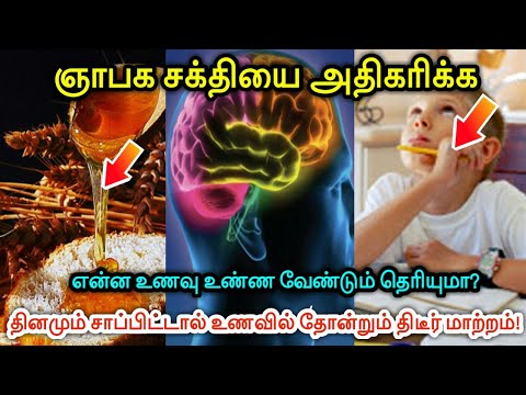 ஞாபக சக்தி அதிகரிக்க என்ன உணவு உண்ண வேண்டும் தெரியுமா ?