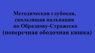 Методическая глубокая, скользящая пальпация по Образцову-Стражеско (поперечная ободочная кишка)