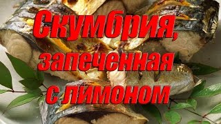 Скумбрия запеченная с лимоном. Скумбрия с лимоном, запеченная в духовке Скумбрия запеченная с лимоном. Скумбрия с лимоном, запеченная в духовке