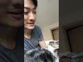 Singing To My Cat Remember Me Cover Cat Vlog Singing Cover Singing To My Cat Remember Me Cover Cat Vlog Singing Cover