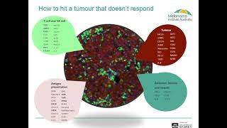 Dr James Wilmott - CODEX multiplex image mapping to scRNAseq in immunotherapy treated melanoma