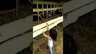 VID 20161225 105315