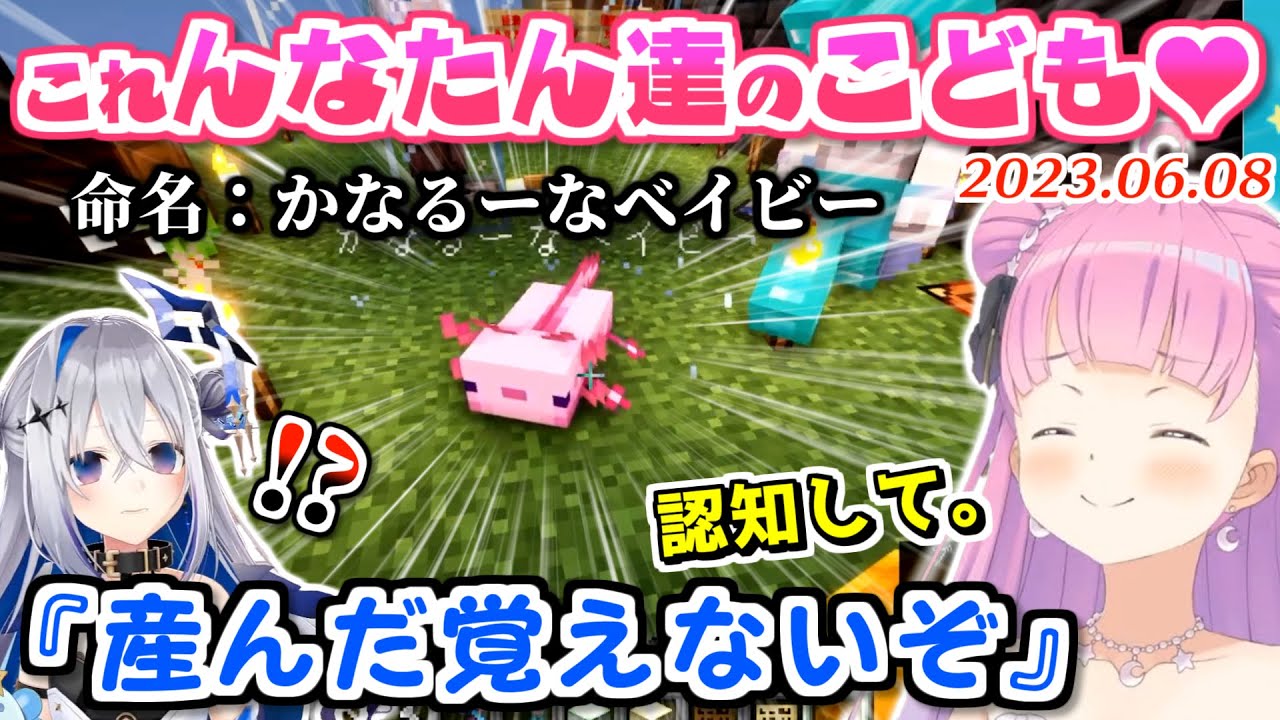 【マイクラ】かなたその知らぬ間に子供を作り認知させる事に成功したルーナ姫【2023.06.08/ホロライブ切り抜き】