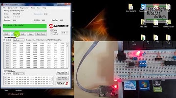 Programador USB - Ejemplo que usa las terminales de programación como I/O