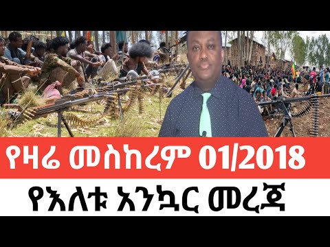 መስከረም 01 2018 Ethiopia News Today Fano Amhara ወሳኝ መረጃ Top Mereja Today Anchor Media መረጃ Sep11 2025  መስከረም 01 2018 Ethiopia News Today Fano Amhara ወሳኝ መረጃ Top Mereja Today Anchor Media መረጃ Sep11 2025