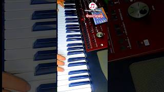 Фантазёр-Korg Pa 700.Cover. #Тойырлары #Тойәндері #Korg