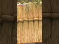 A Sacred Rope for a New YearーNHK WORLD-JAPAN NEWS