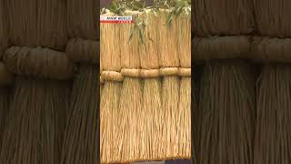 A Sacred Rope For A New Yearーnhk World-Japan News