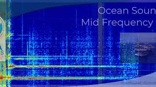 Navy Mid Frequency Sonar screenshot 5