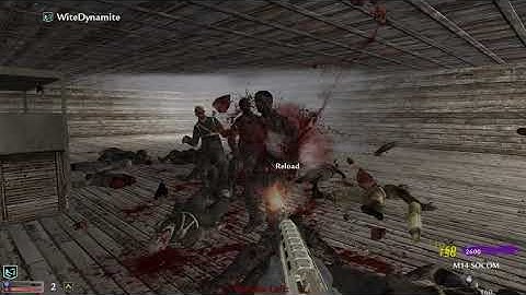 333 | Call Of Duty: World At War Custom Zombies [PC/4K UHD/60 FPS]