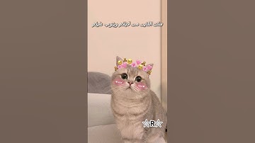 ما تيسرَ من سورة النساء 🌷