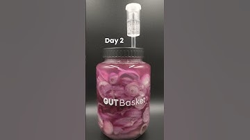 What Happens When You Ferment Onions? | 5-Day Timelapse