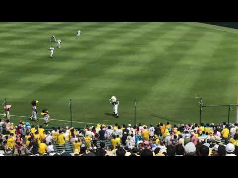 2019年６月22日阪神vs西武(甲子園)森友哉・中村（おかわり）・木村のフォームのモノマネをするライオンズのマスコットレオ