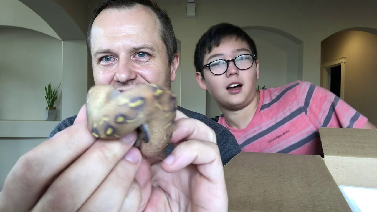 awesome oscillator WOW!!! Epic Unboxing 4.0