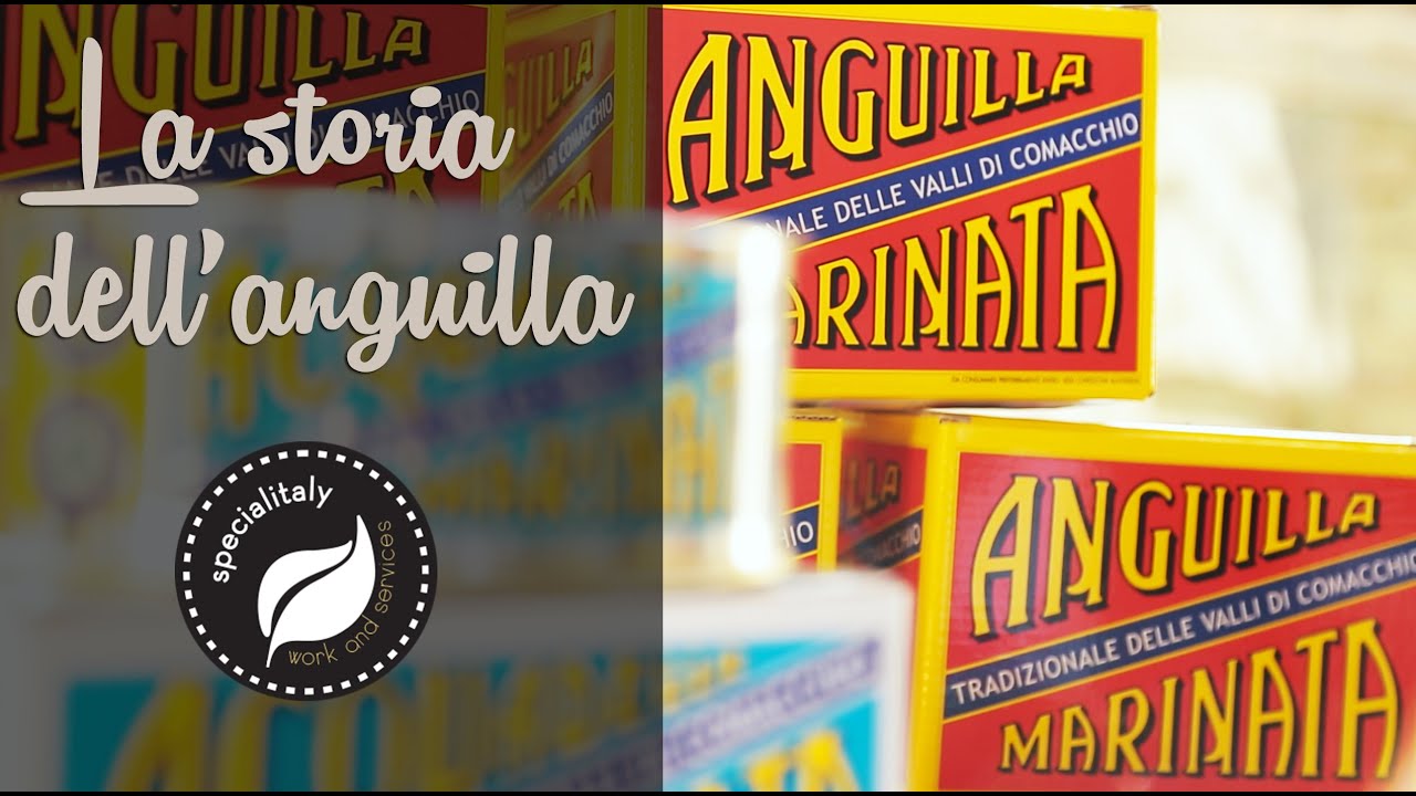 La storia dell'anguilla - Work&services
