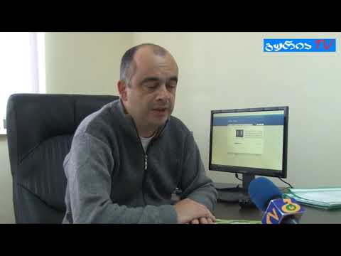 გადავარჩინოთ ქართული ბზა