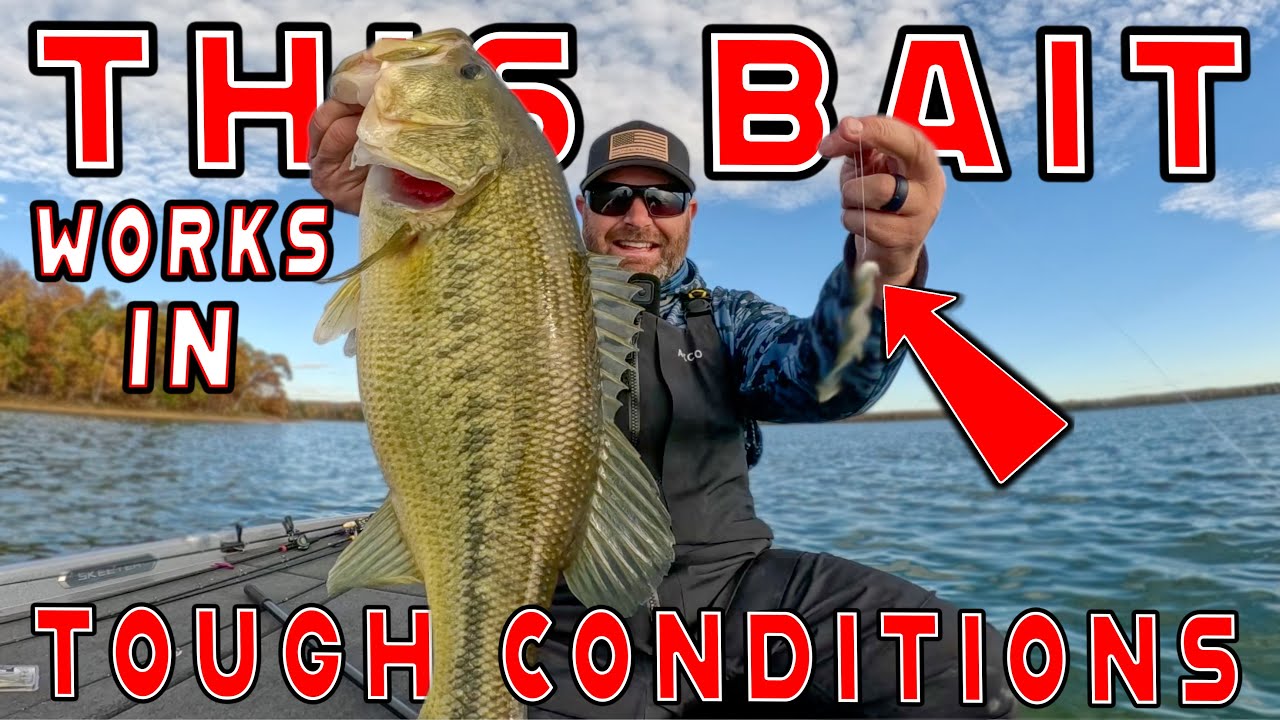 Bass Fishing Day On The Water! BIG LARGEMOUTH In Post Frontal, Cold, Windy Conditions!