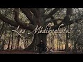 John lordswood  les mdivalistes 2024 full album