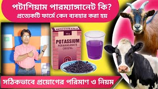 পটাশিয়াম পারম্যাঙ্গানেট কি? ফার্মে ব্যাবহার || What is potassium permanganate?  Its use in the farm