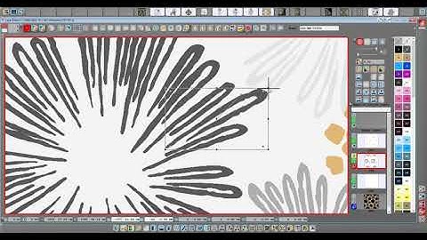 Vectorization of an existing pattern, made by EAT - DesignScope victor software