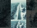 Open like pale flowers / 儚く散る愛の残響....触れた場所から、夜が満ちていく… #shorts