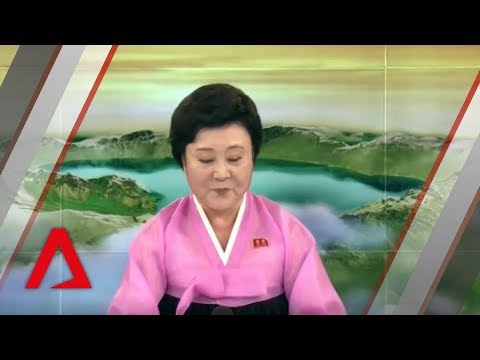 Trump-Kim summit: North Korean TV presenter Ri Chun Hee hails historic meeting