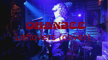 Ohanzee - Leftovers (cover by Planet of Zeus) Live Video 15-07-2016 (1080p full HD)