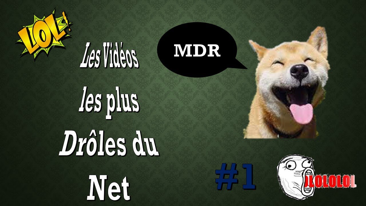 Les Vidéos Les Plus Drôles Du Net 1